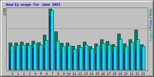 Hourly usage for June 2021